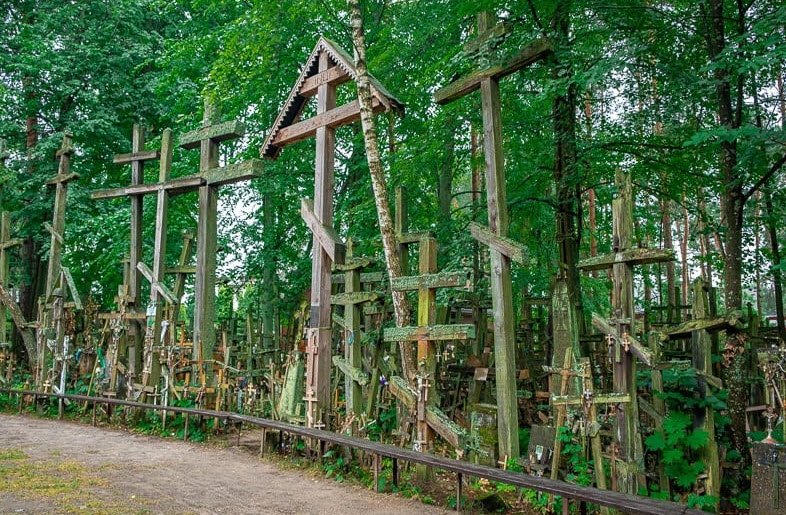 Białowieża Forest, Białowieża, Podlaskie, Poland